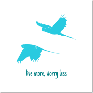 Live more, worry less Posters and Art